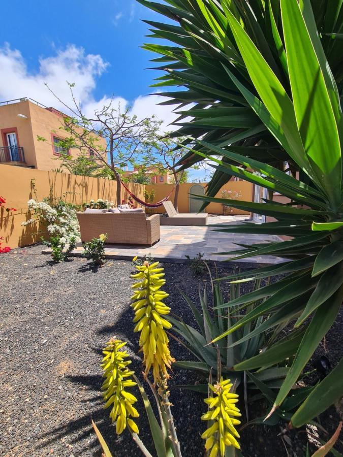 Casa Zalla 110M2, 200M2 Garden, Pool, 1Gb Wi-Fi, Private Parking Corralejo Ngoại thất bức ảnh